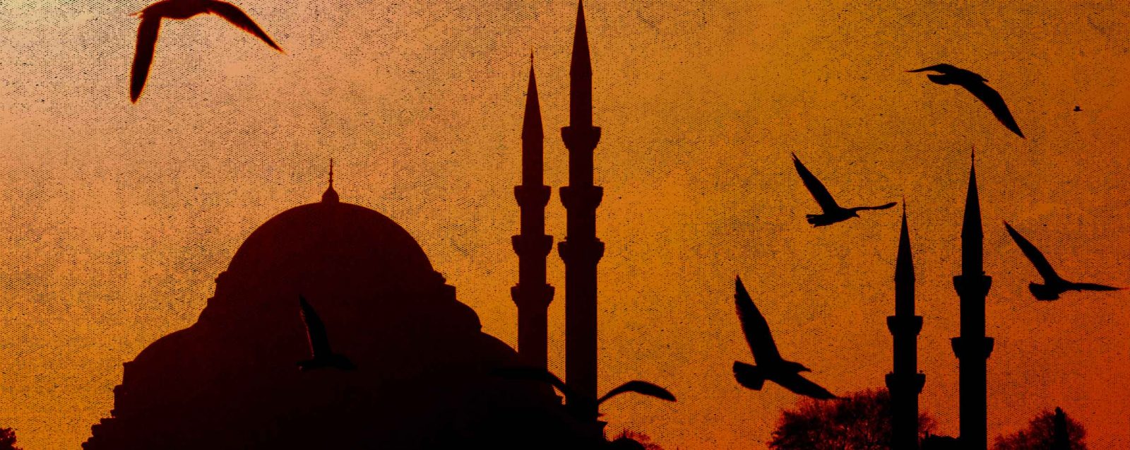 islam1 Yaradılış Mayamıza Dönüş:Fıtratı Hatırlamak