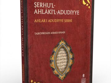 SerhulAhlak-Taskopru2-360x270 Makam ve Yetkinlikte Denk Olan Düşmanlar Hakkında