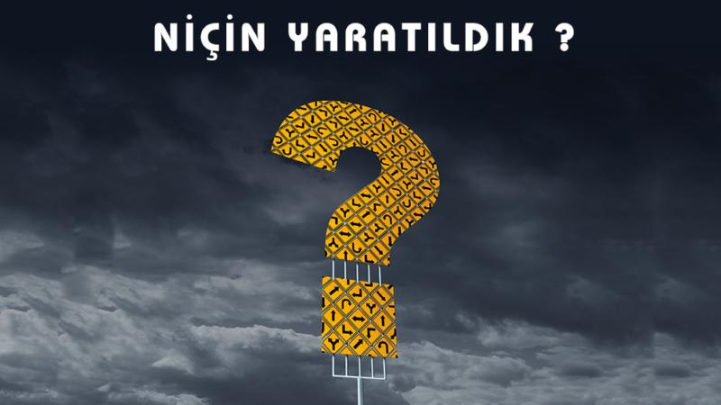 Niçin Yaratıldık?